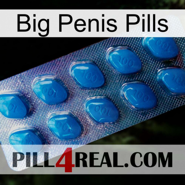 Big Penis Pills viagra1.jpg